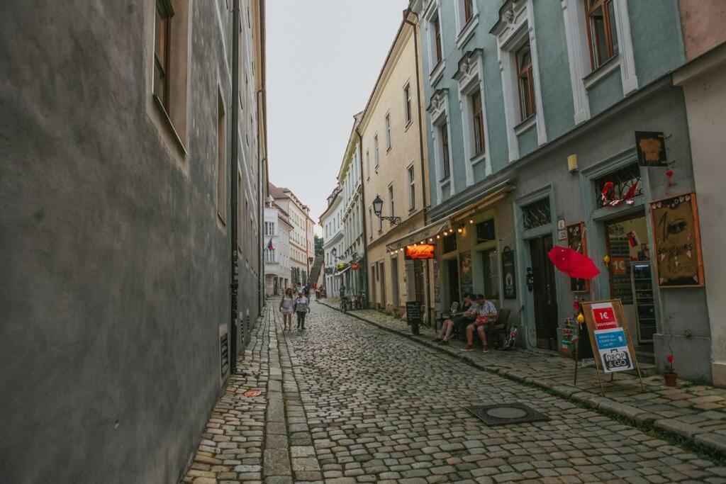 Cozy Apartment In The Heart Of The Historic City ブラチスラヴァ エクステリア 写真